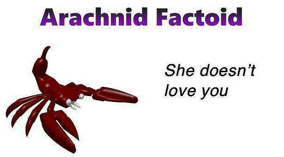 Cool bug facts part 2.