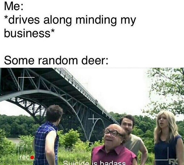 Oh nooo.