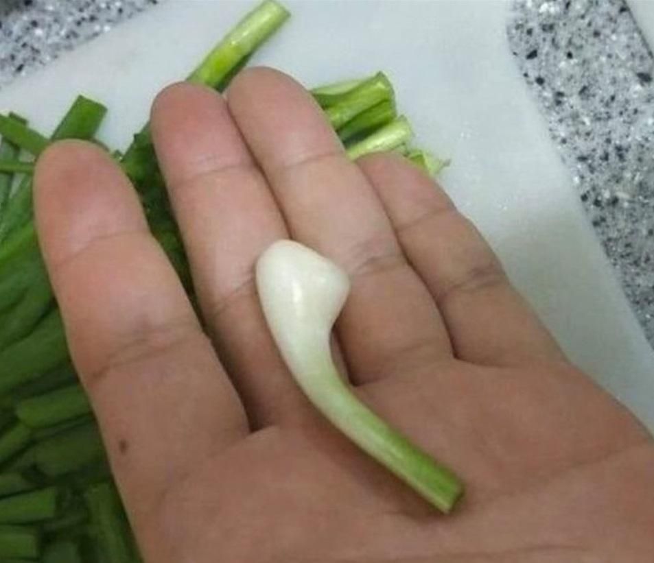 New leaked airpods