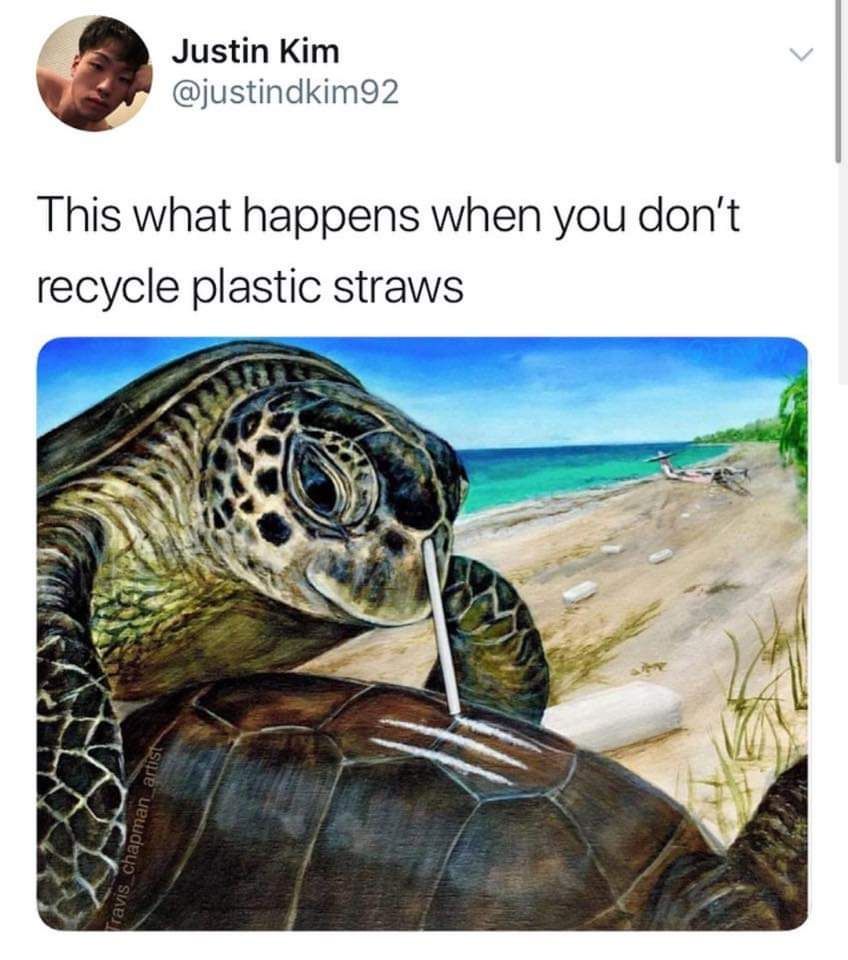 Please, won't anyone think of the turtles?