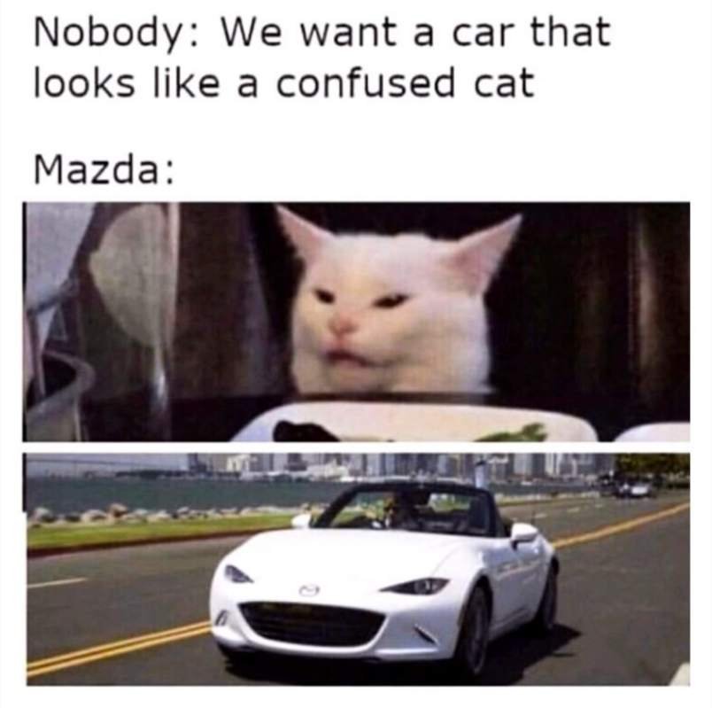 Wtf