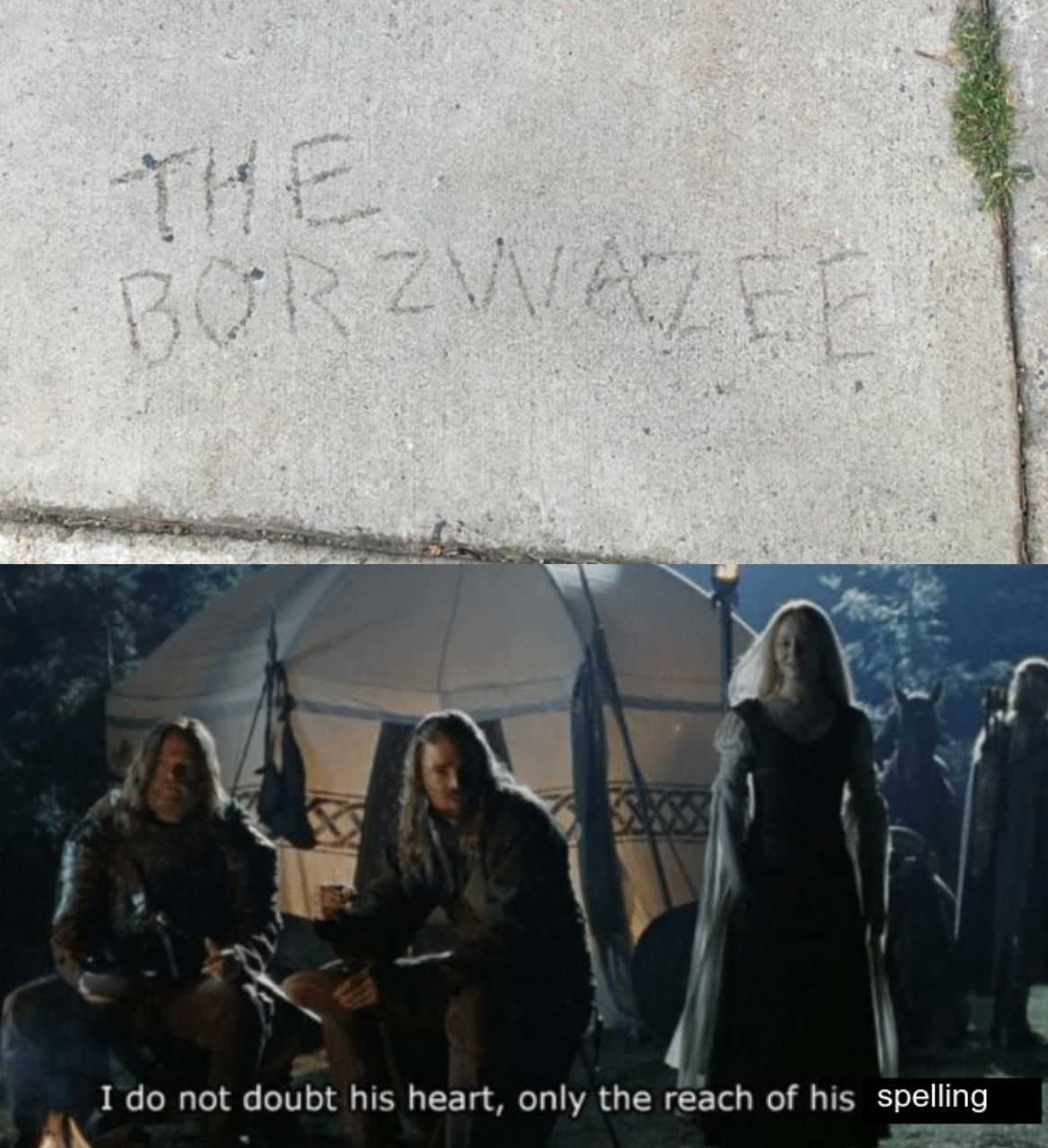 Down with the borzwazee
