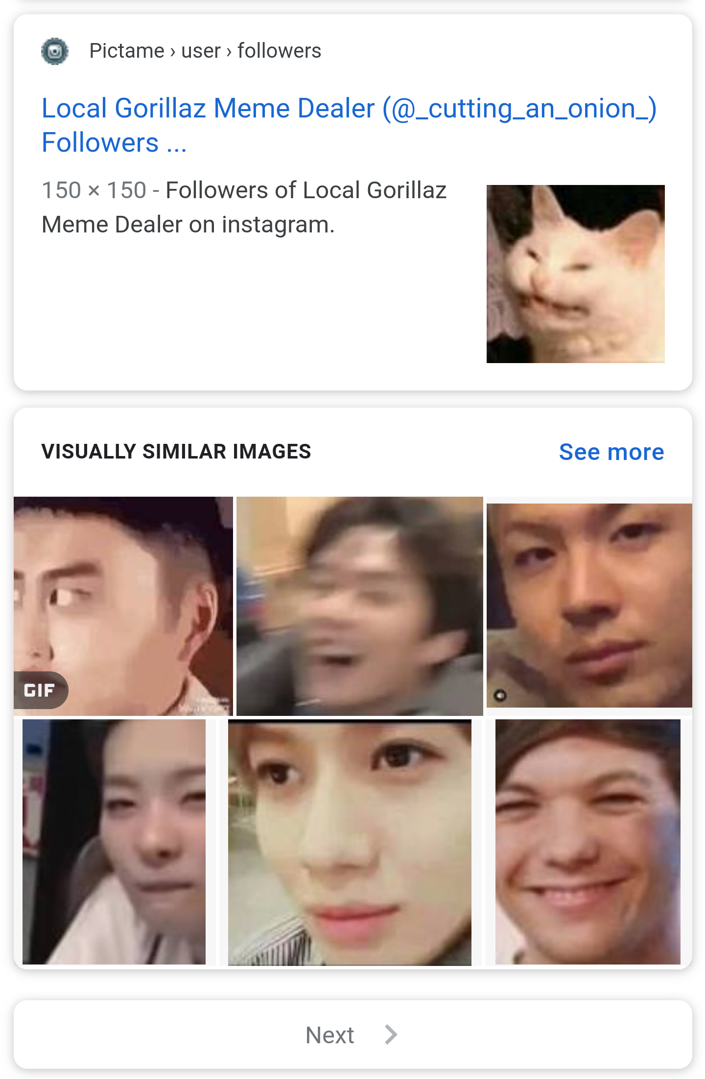Was looking for better quality cat react when offered these visually similar images...