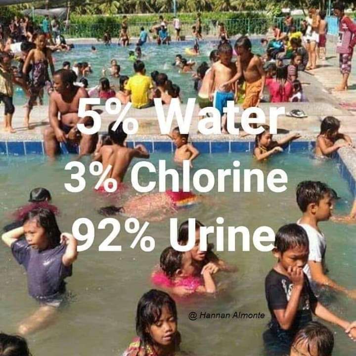 Urine contains ammonia. Don't piss in the fuᴄking pool, Hans