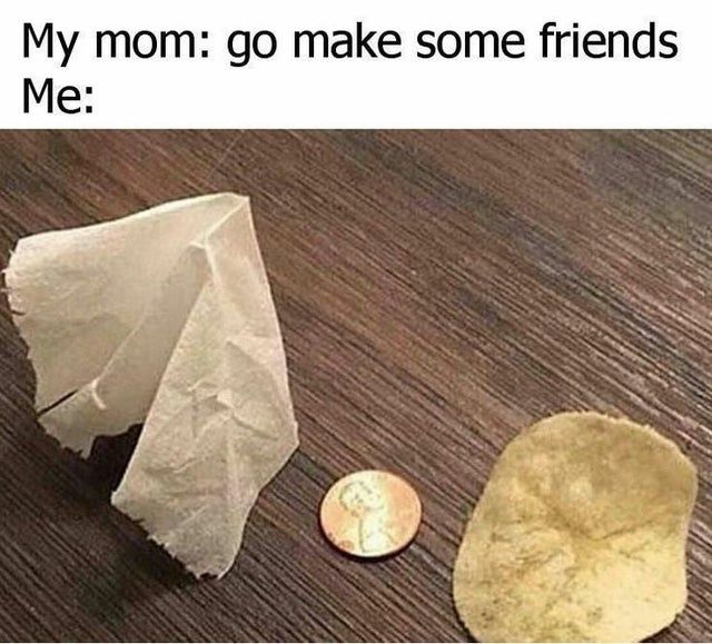 they are all I need