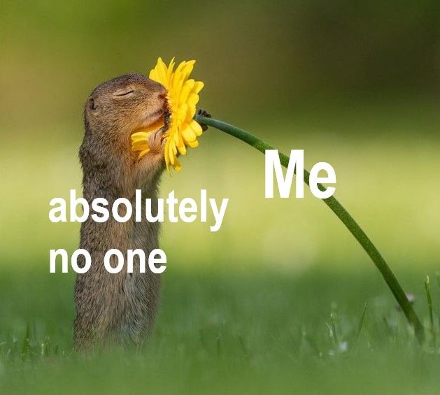 love is for normies anyway