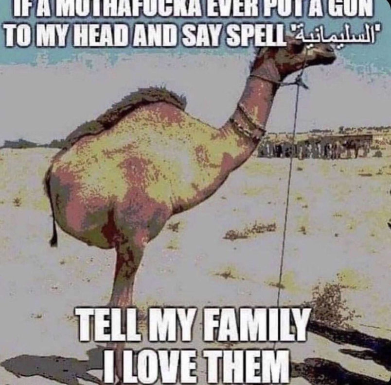 Rip