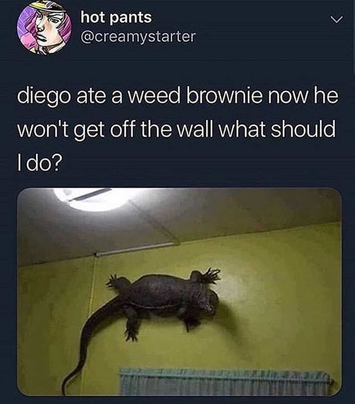 You should get him another before he falls off