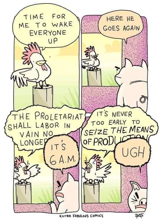 cluck