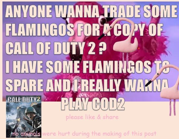 traed a fmalingo 4 COD2 pls giuse