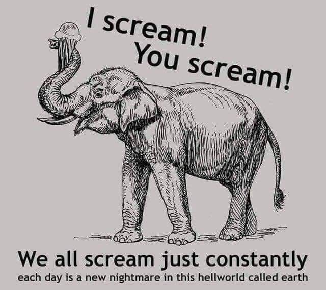 We all scream