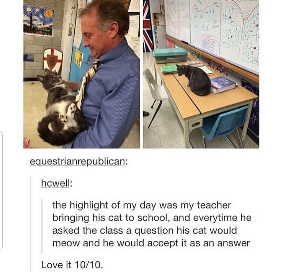Teachers pet