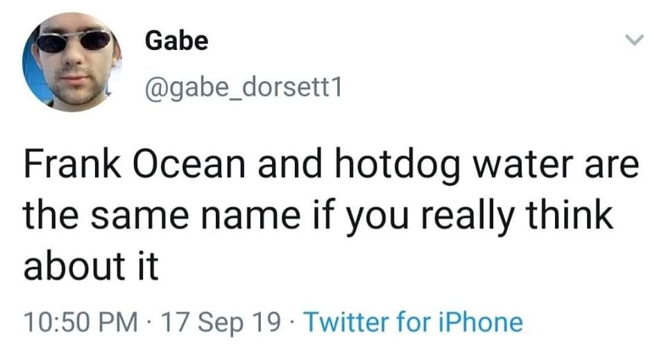 chocolate starfish and frank flavored ocean