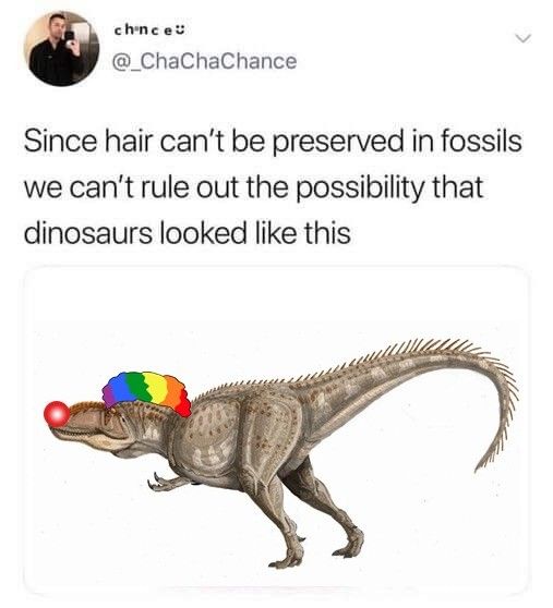 300 million years of clown world