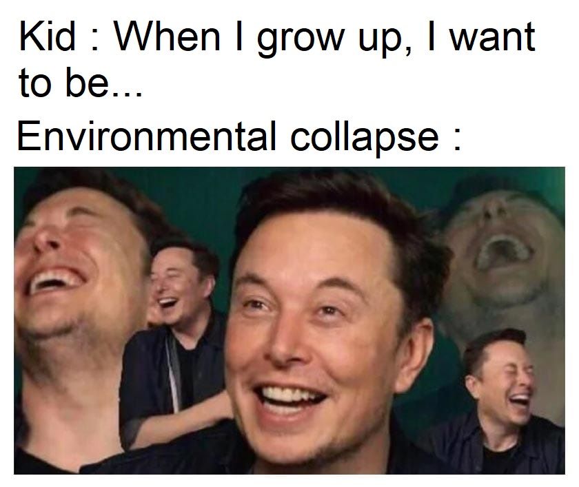 it's fun because it's true
