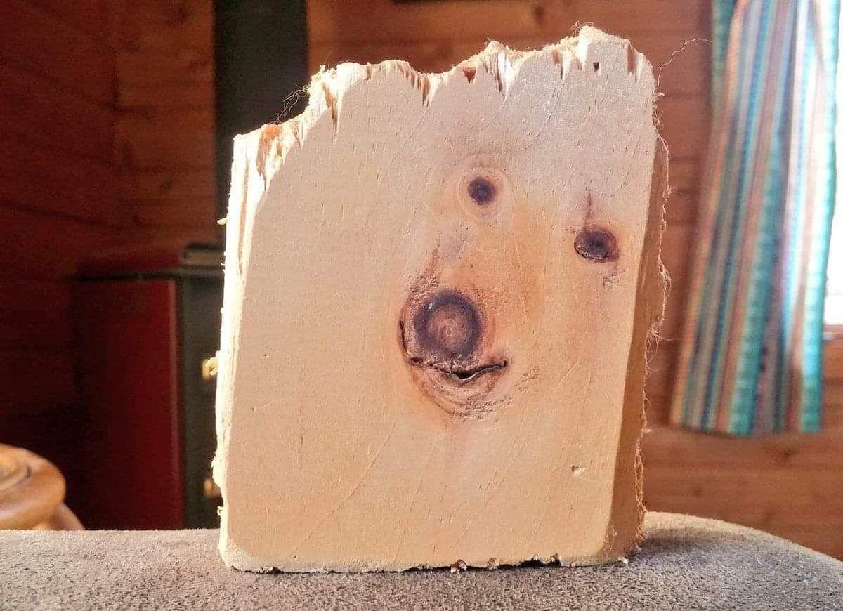 Who's a wood boy