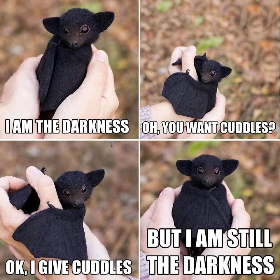 Cute Minion Of Darkness