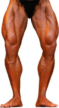 This is a complementary post. Looking for someone to post a fancy torso for this old pair of legs.