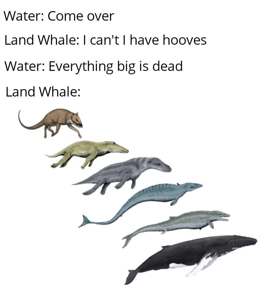 my predators arent home