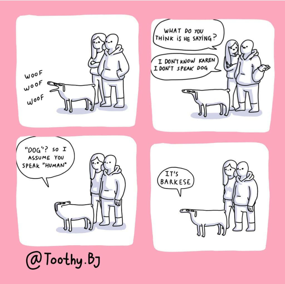 Dog-human relations