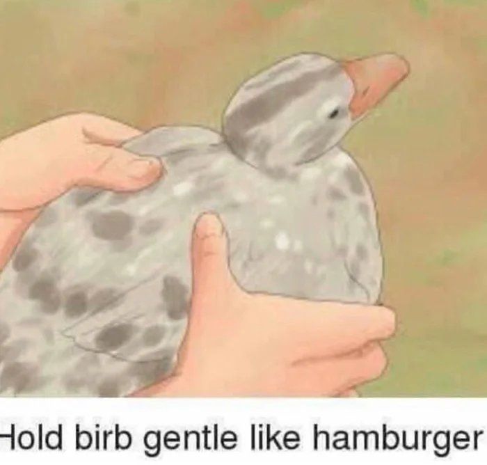 And then don't be so gentle