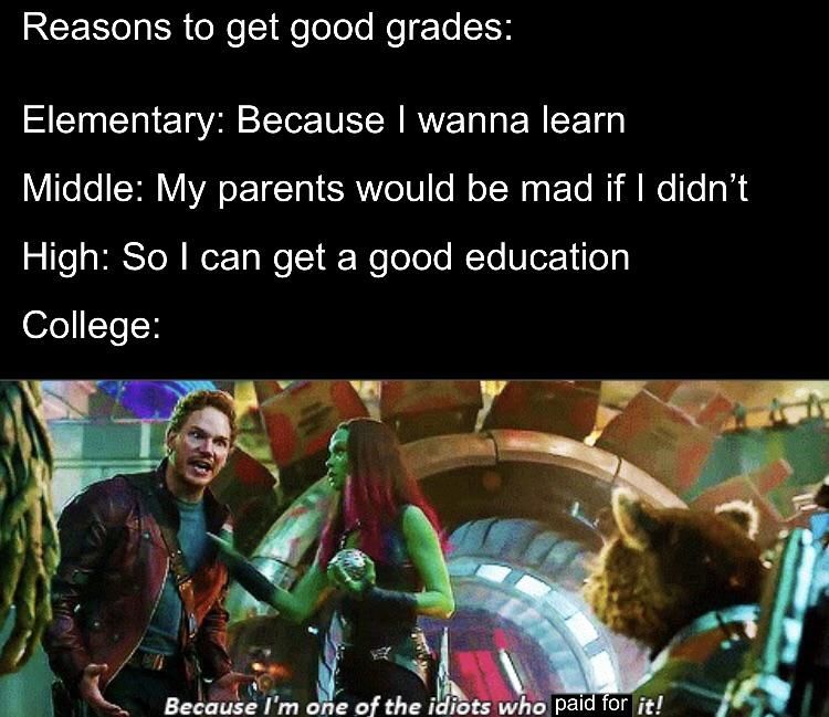 Apprenticeship: Because I'm getting money for it!