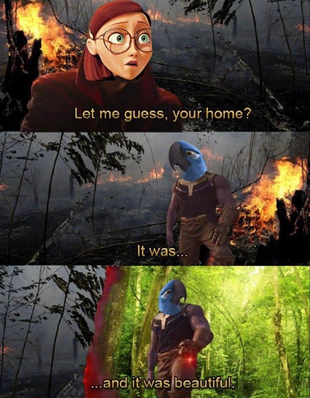 Brazilian sadposting