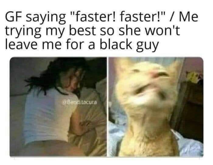 but you're just a cat