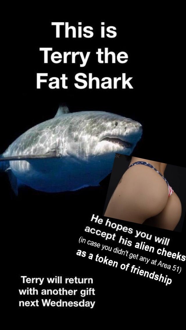 Thank you Terry, very cool