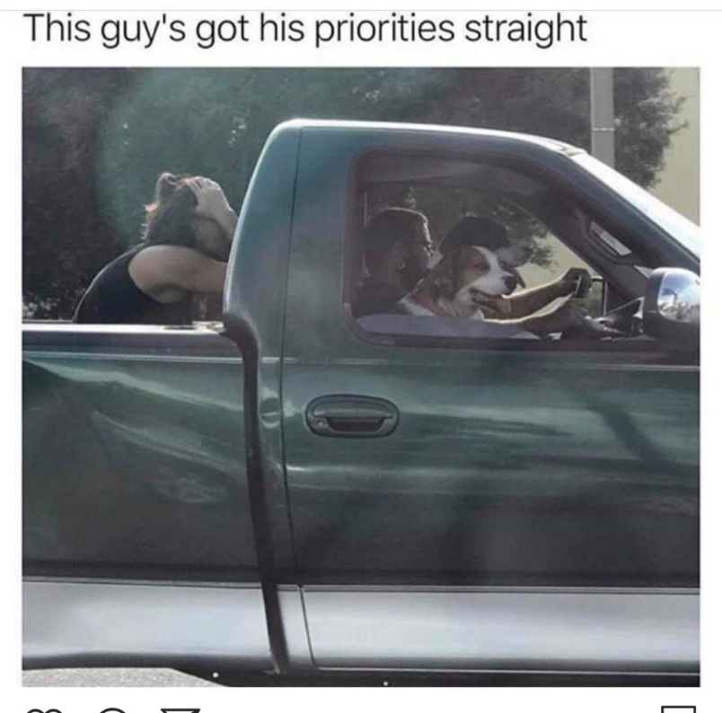 B*itches in the back