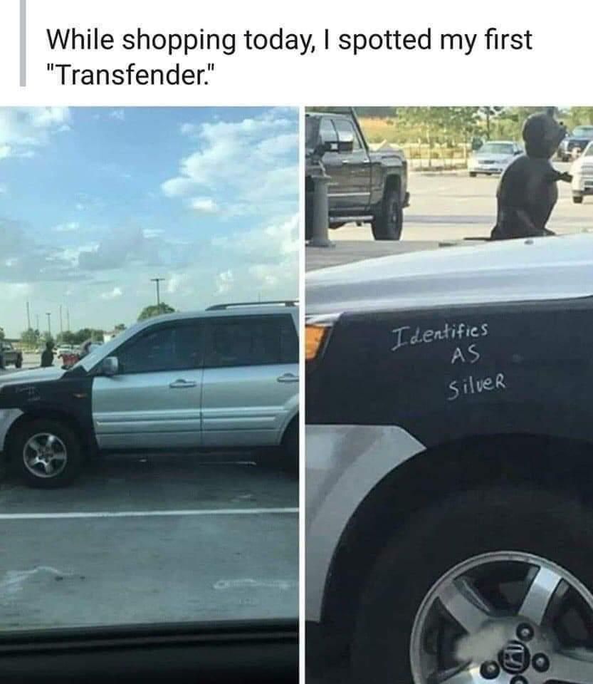 did you just assume my fender??