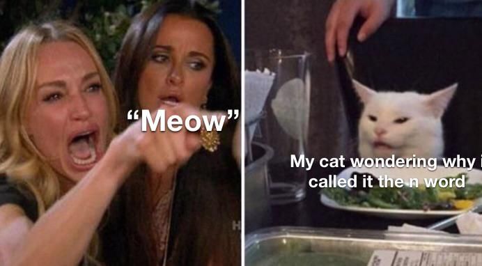 It's even a white cat