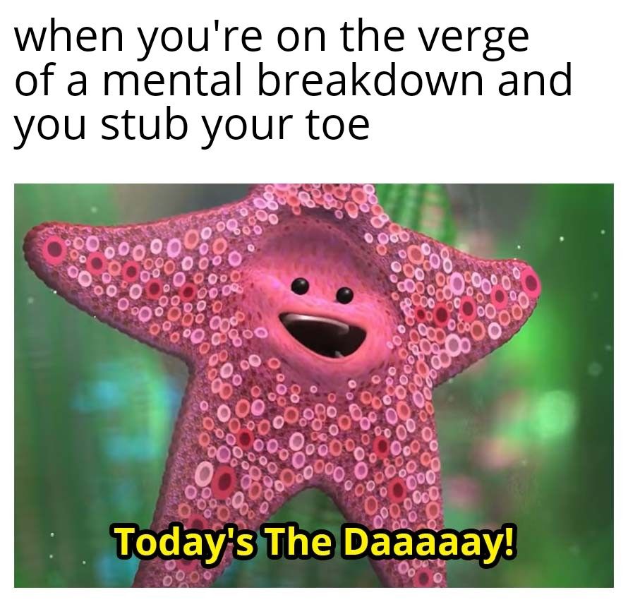 *starts histerically laughing*
