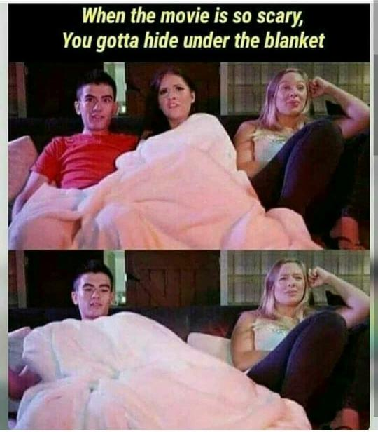 Seek Shelter