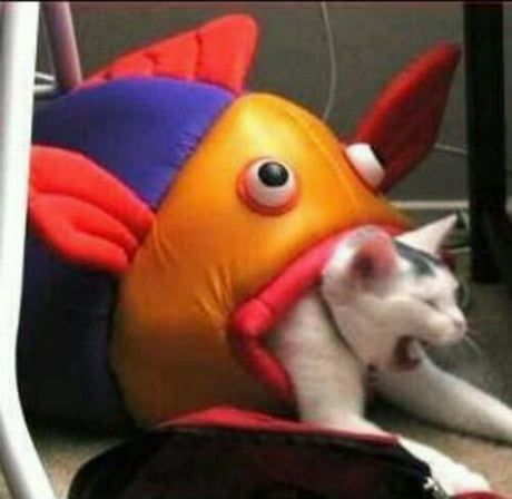 when u hungry af so u order uber eats sushi but u already high as balls trippin on some gourmet acid