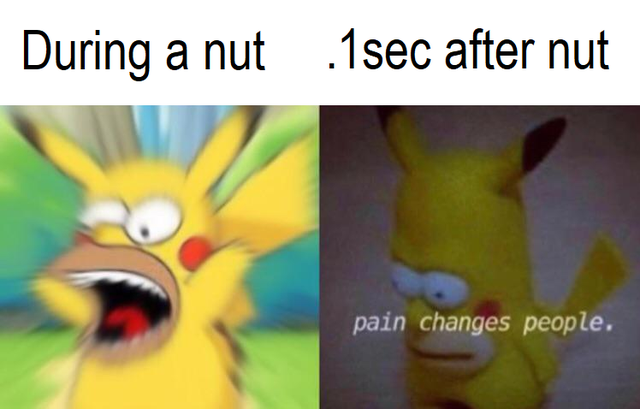 I'll ***in do it again