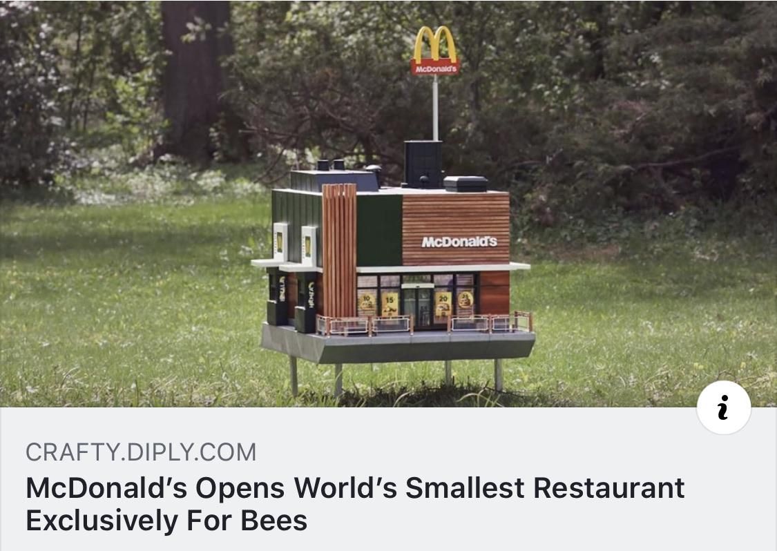 What is this? A restaurant for ants?