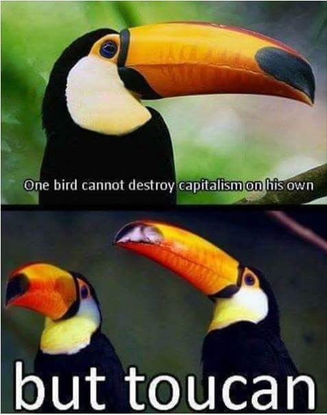 Toucans are going to destroy capitalism