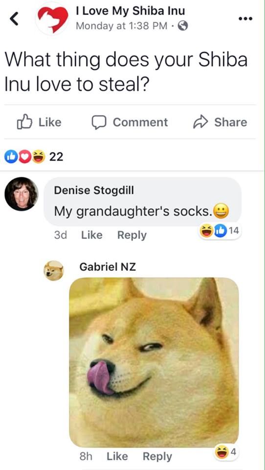 Mmmmm, doge loves some good feet