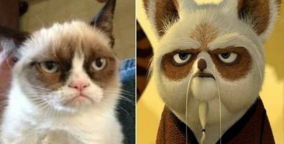 Grumpy before it was cool
