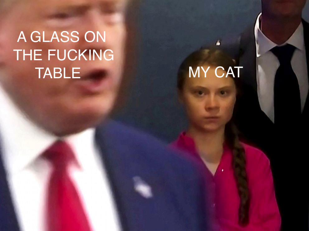 That ***ing Cat