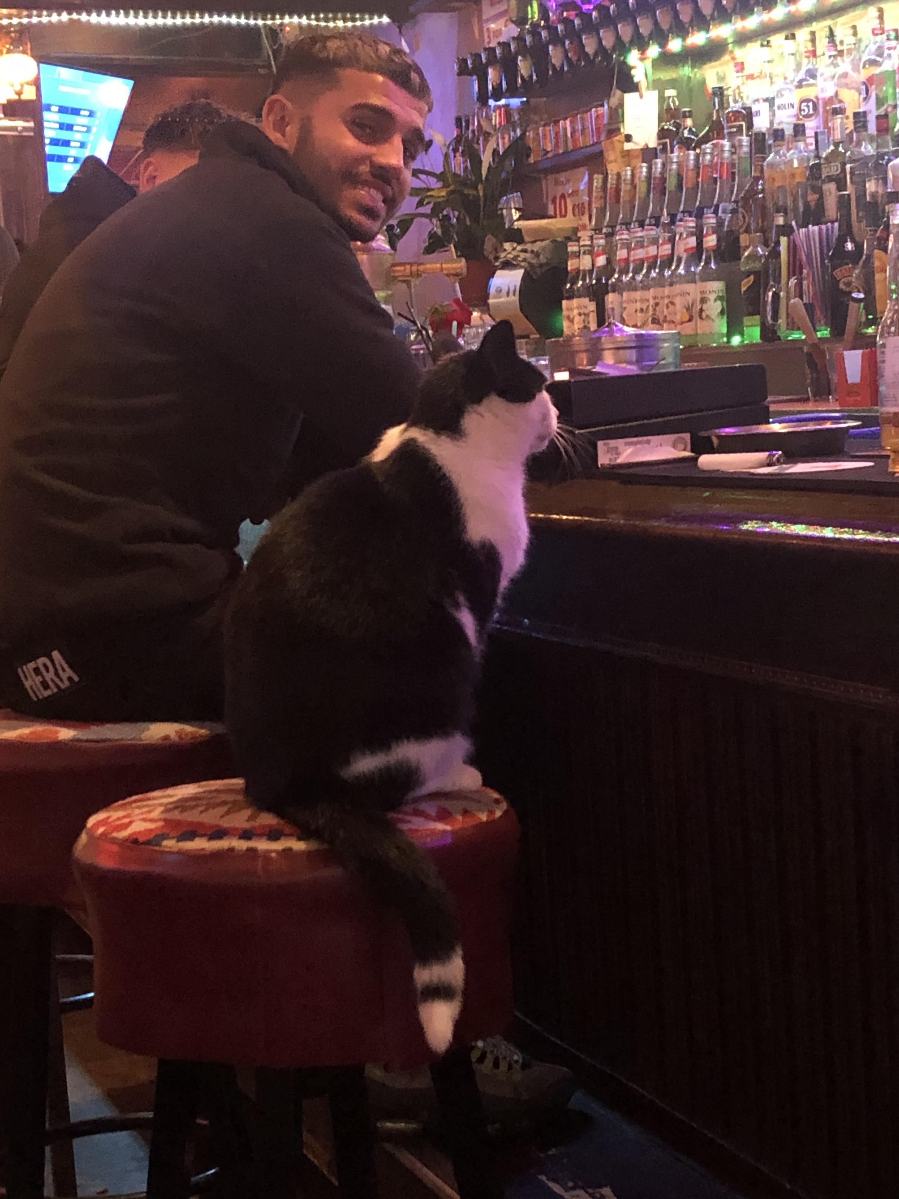 Just casually smoking and drinking at Wonder Bar in Amsterdam tonight and I look to my right and see this cat chilling at the bar waiting for a drink.