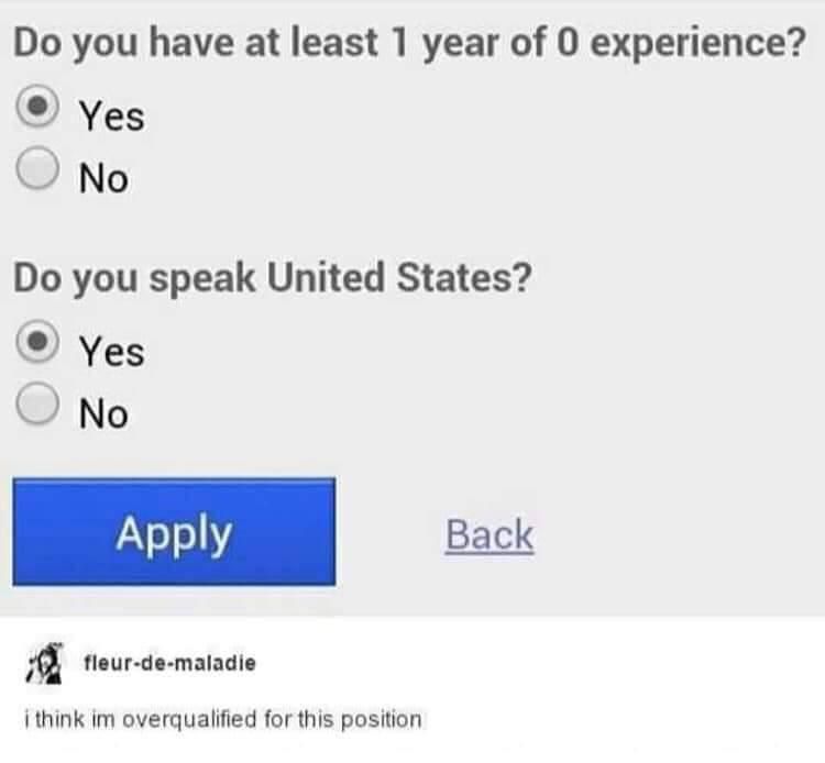 The best job application