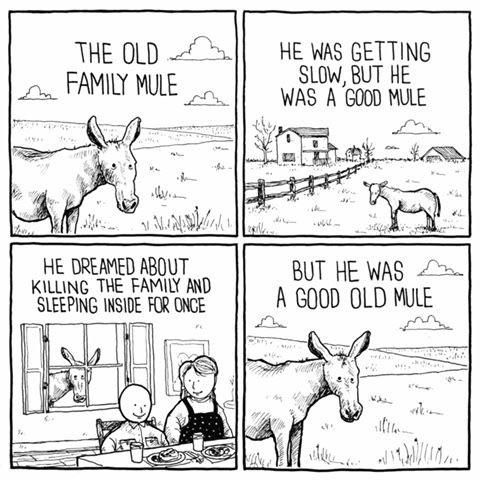 Poor old mule