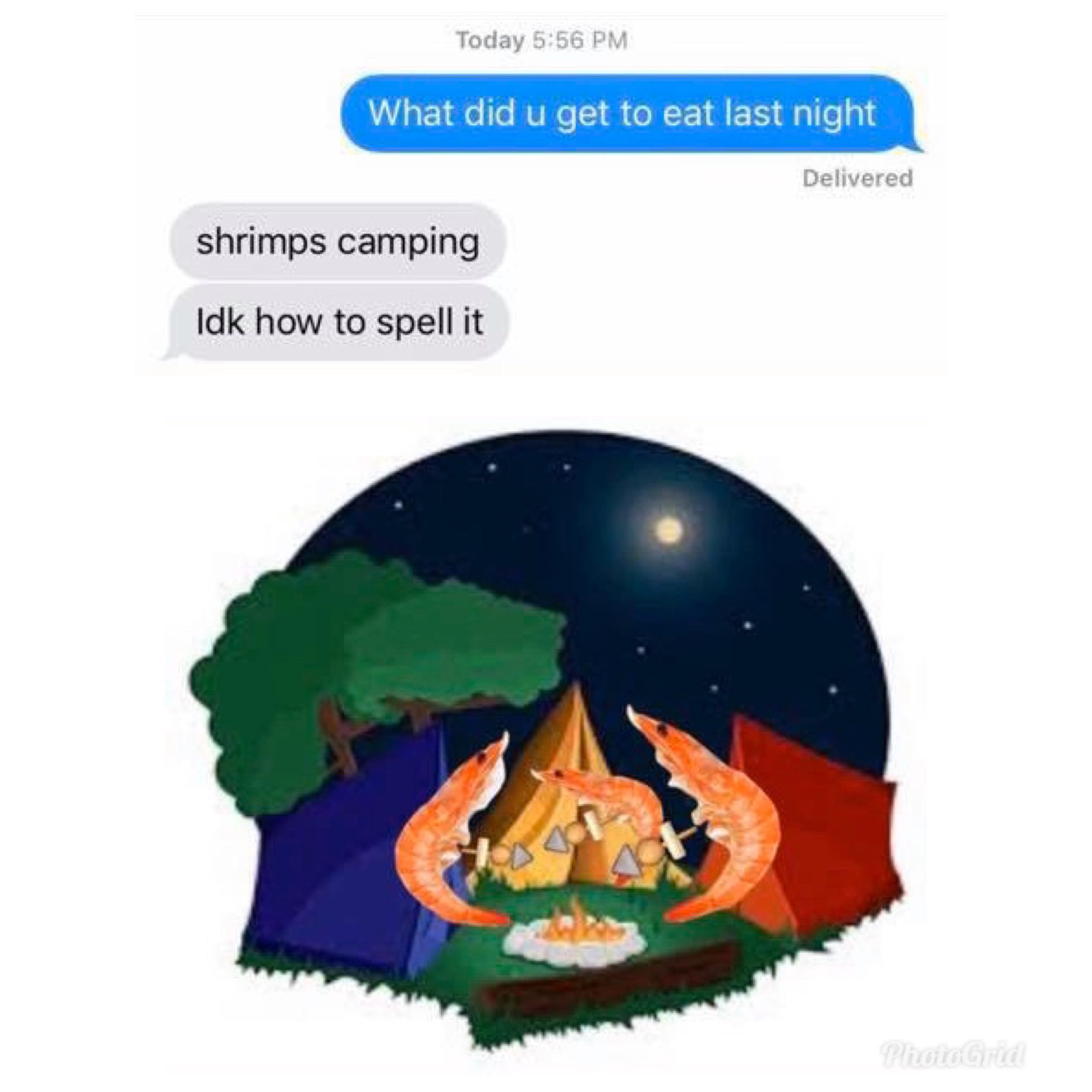 Shrimps camping.