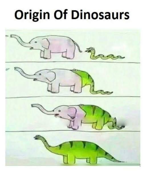This is how Dinosaurs formed, the real fact
