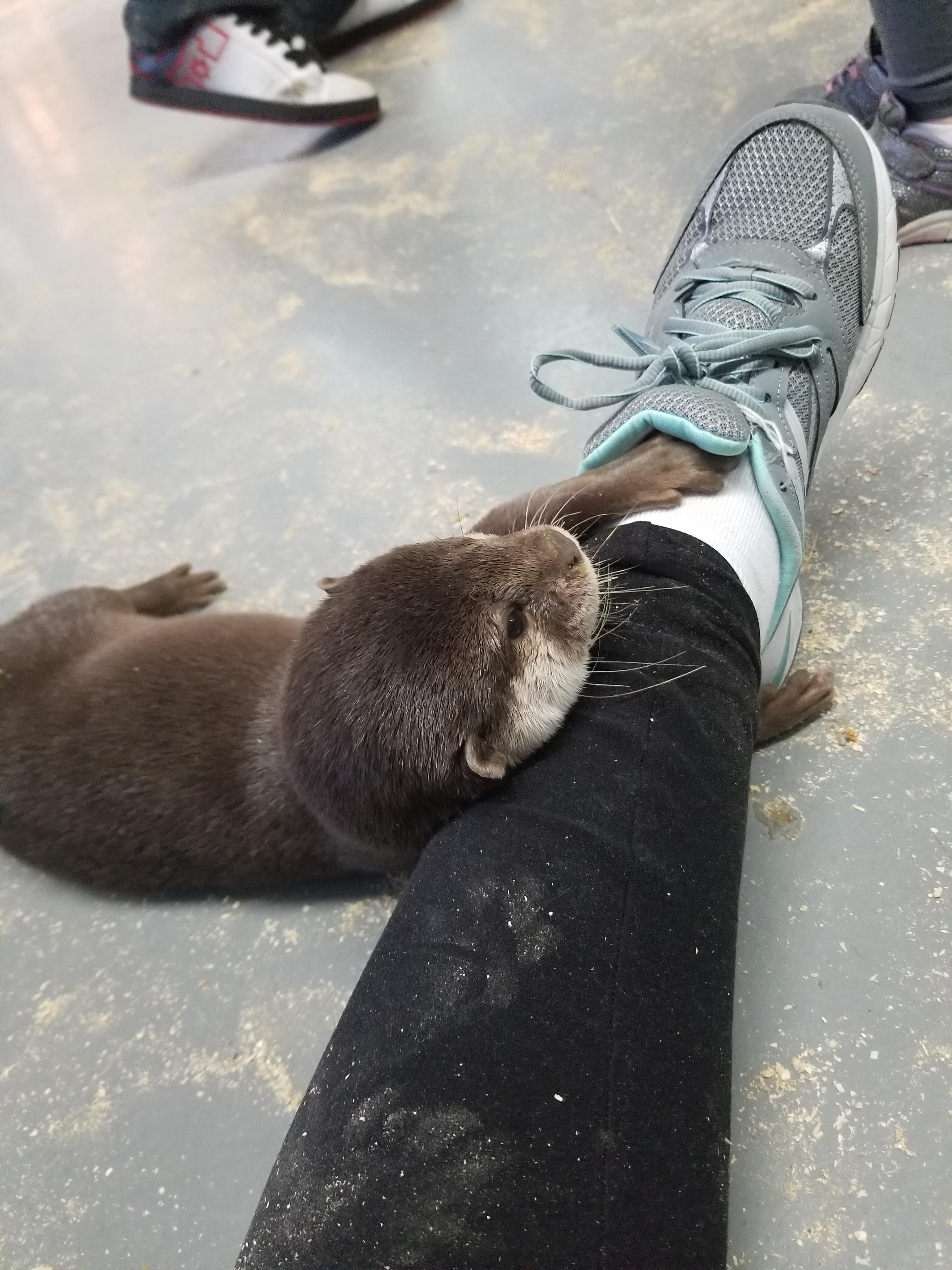 Blossom enjoyed snuggling my foot