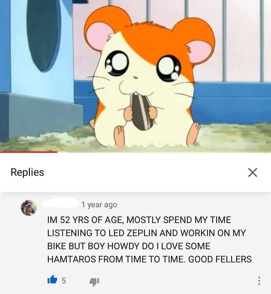 Real Boomers watch Hamtaro