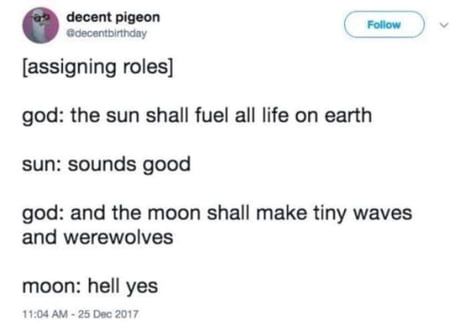 It's the moon's fault that we have furries