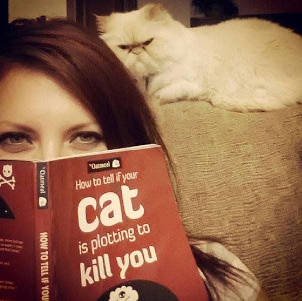 20 Signs That Your ....Cat Is Plotting To Kill You! ..